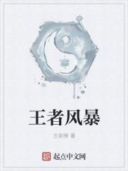 王者风暴 王者风暴