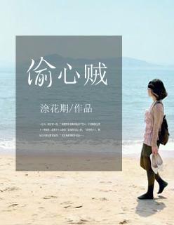 偷心贼 偷心贼